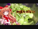 【ゆっくり】終わった人生の私がワンチャンをかけて百姓する　21日目