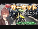 ミニサーキットにいこう！～クイック羽生～　ささらん車載でpart30