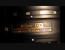 D5100＋AF MICRO NIKKOR 105mm F2.8D　マニュアルフォーカス