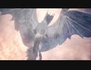 [MH:W]馬鹿トリオの狩猟日記！ICEBORNE 06日目 ~後半~