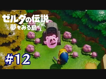 守りたいこの笑顔【ゼルダの伝説 夢をみる島】＃１２