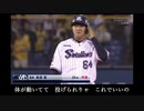 【野球替え歌】ヤクルトが下位に終わる時【東京ヤクルトスワローズ】