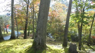 623北海道旅先【 夕張滝の上公園】紅葉