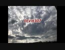 DEVIK307