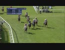 2013年 第133回ジュライカップ (July Cup) リーサルフォース(Lethal Force)