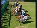 1997年 第157回仏ダービー (French Derby)パントレセレブル(Peintre Celebre)