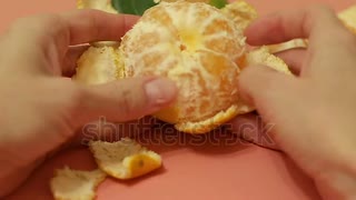 Closeup female hands peel ripe Mandarin .　えひめ共同産業合同会社