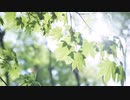 パプリカ / 米津玄師 cover. by月宮黒兎
