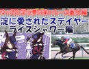 【ゆっくり解説】歴代の名馬解説 ライスシャワー編(夢の第11レースシリーズ番外編)