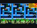 先に見つけろ！間違い探しコース【スーパーマリオメーカー2】