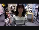 【猫の多頭飼い】チーママTAKESHIとおまつりふじ子のおやすみライブ 2019.10.24