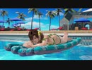 DOAX3fortune 本日グラビアパラダイスランダム 8分