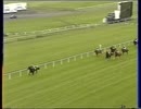 2000年 第135回愛ダービー(Irish Derby) シンダー(Sinndar)