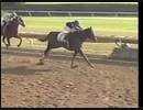 1997年 第14回ブリーダーズカップ・ジュヴェナイル(Breeders' Cup Juvenile) フェイヴァリットトリック(Favorite Trick)