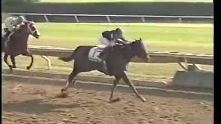 1997年 第14回ブリーダーズカップ・ジュヴェナイル(Breeders' Cup Juvenile) フェイヴァリットトリック(Favorite Trick)