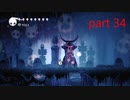 【初見実況】 Hollow Knight  part34【飲酒注意】