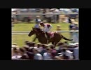 1989年 第124回愛ダービー (Irish Derby)オールドヴィック(Old Vic)