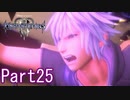 既プレイのためのキングダムハーツⅢ Part25