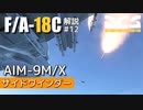 【DCS:F/A-18C】解説#12 AIM-9 サイドワインダー【ゆっくり実況】