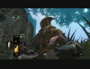 [ダークソウル]初心者による初見な冒険[REMASTERED]その41