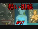 【趣味】拙いですがパンツでマスターになる【ゼルダの伝説ブレスオブザワイルド】pants97