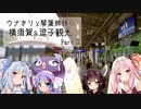 ウナきり＆琴葉姉妹のグダ旅【横須賀編その3】