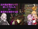 【ゆかマキきず実況】旧大陸が懐かしくて帰ってきました37【MHP2GiOS】