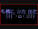 札幌市豊平区環状通でシカが出た( ﾟдﾟ)