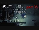【初見実況】 Hollow Knight  part35【飲酒注意】