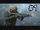 【実況】Call of Duty: Modern Warfareを楽しむ part1