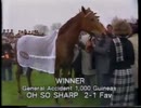 1985年 第172回英1000ギニー (One Thousand Guineas Stakes)オーソーシャープ(Oh So Sharp)