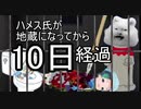 けものフレンズ2　日めくりハメス　地蔵10日目【 @James_of_Angora 】