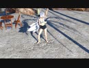 【MMD杯ZERO2参加動画】 Sea Breeze 【ハクさん】