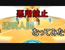 透明人間になったらなにする？【デジモンサイバースルゥースハッカーズメモリー】