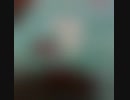 あるいたきせき、まちのこえ、のんびりあたっく＾＾（なーんだ？こんにちわー…