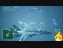 【峡谷低空＆命中率100％】ラーズグリーズは外さない Part13【エースコンバット7-ACE】