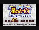 星のカービィ バグの泉デラックス part1