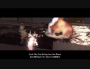 [意訳歌詞付き] Dive into the Flame [ACMAD]