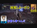 【MHWIB】頬を叩いて壁にドーン！【歴戦斬竜】Part5
