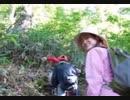 のまさんち「登山記録♪　焼岳.wmv」