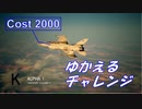 Ace Combat 7 Multiplayer416  バトルロイヤル  F-16C + GPB