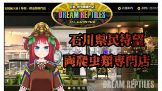 石川県待望！爬虫類専門店『ドリームレプタイルズ』！！