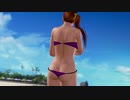 DOAX3fortune 本日イベントパラダイスランダム 8分