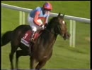 2001年 レーシングポストトロフィー（Racing Post Trophy Stakes）ハイシャパラル(High Chaparral)
