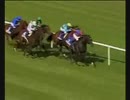 2003年 第28回アイリッシュチャンピオンステークス（Irish Champion Stakes）ハイシャパラル(High Chaparral)