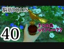 【実況】過ぎ去りし脳筋を求めて【DQ11S】　part40