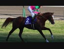 【ウイニングポスト8 2015】女馬主と早世馬の新世界【実況プレイ】380