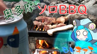 【ソロキャン】むしキャン　奥多摩編4【ゆっくり】