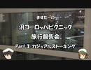 汎ヨーロッパピクニック　旅行報告会　Part. 3