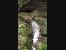 [旅行]茨城「神社界のディズニーランド」御岩神社の前の川のせせらぎを見るだけの30秒